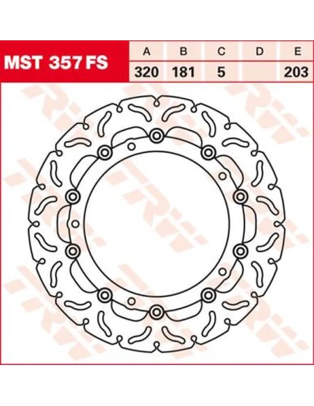 TRW Bremsscheiben für BMW R 1200 RT ABS 2005-2019