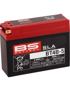 SLA Factory-Activated AGM Wartungsfreie Batterie