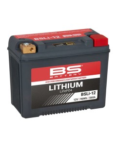 Lithium LiFePO4 Batterie