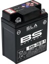 SLA Factory-Activated AGM Wartungsfreie Batterien
