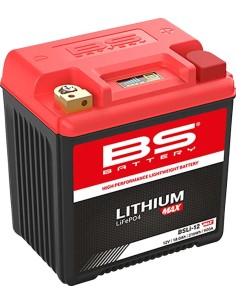 Lithium Max LiFePO4 Batterie
