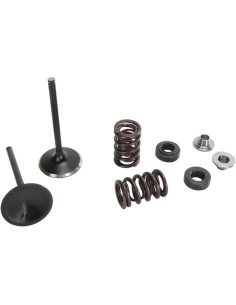 Auspuffventil- und Feder-Kit