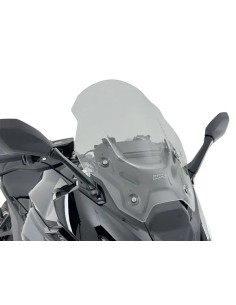 Touring Windschild BMW R1300RS