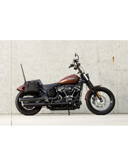 BILTWELL Satteltaschen Bild 10
