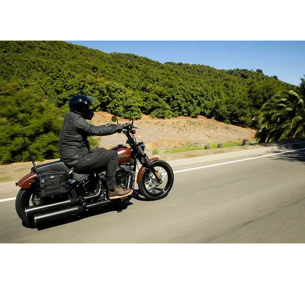 BILTWELL Satteltaschen Bild 11