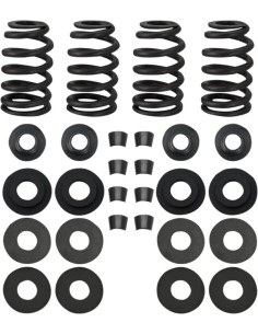 0,585" Street Performance Ventilfeder-Kit
