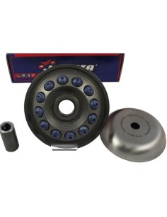 PRO Series Variator