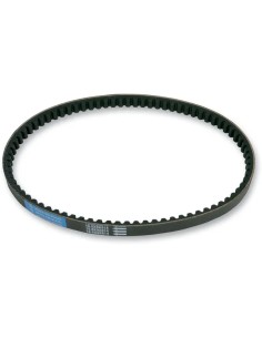 Roller-Getriebeband