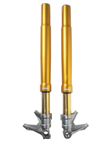 OHLINS Federung vorne für Harley Davidson FLHXSE 1977 ABS 2023-2025