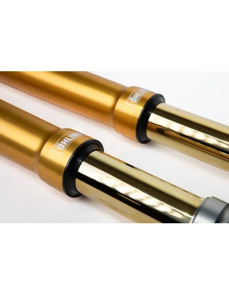 OHLINS Federung vorne Bild 4