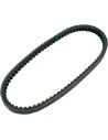 Roller-Getriebeband