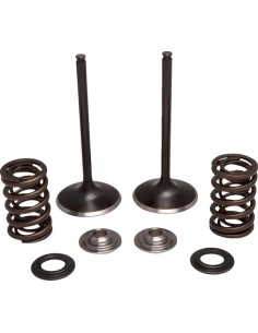 Einlass Edelstahl-Umrüstventil und Feder-Kit