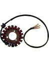 Stator für Kawasaki
