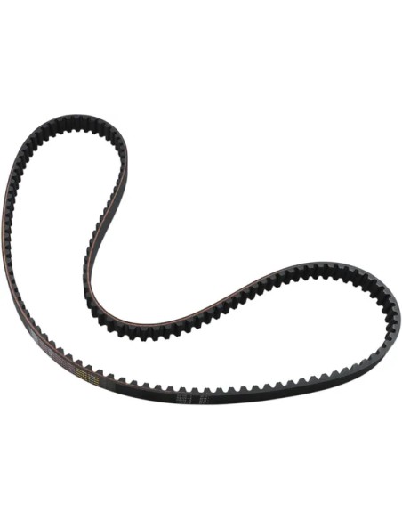 PANTHER Riemen für Harley Davidson XLH 883 1991-2003