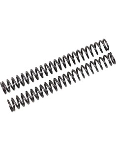 Gabel-Federn für FKS Cartridge Kit