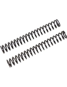 Gabelfedern für FGK Cartridge Kit