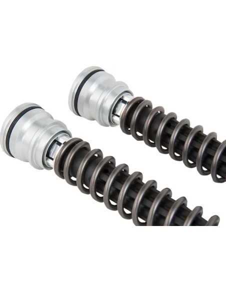 OHLINS Federung hinten Bild 4