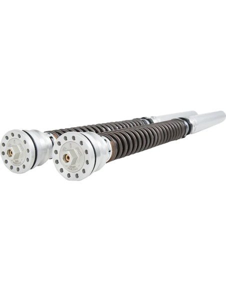 OHLINS Federung hinten Bild 6