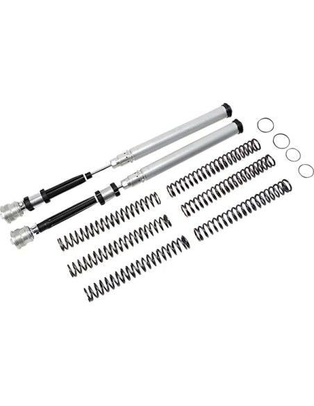 OHLINS Federung hinten Bild 7