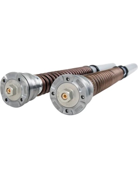 OHLINS Federung vorne Bild 9