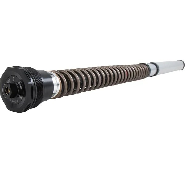 OHLINS Federung vorne für DUCATI SCRAMBLER 1100 ABS 2018-2020