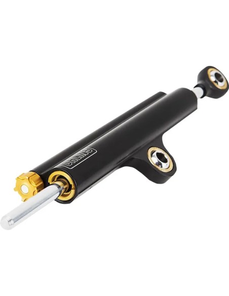 OHLINS Federung vorne für BMW R NINE T ABS 2014-2023