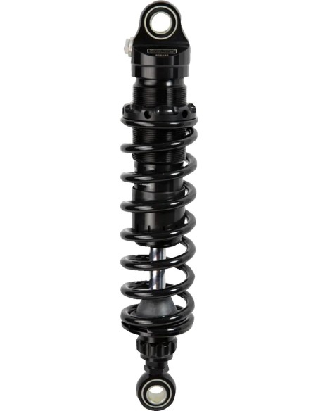 OHLINS Federung hinten Bild 4