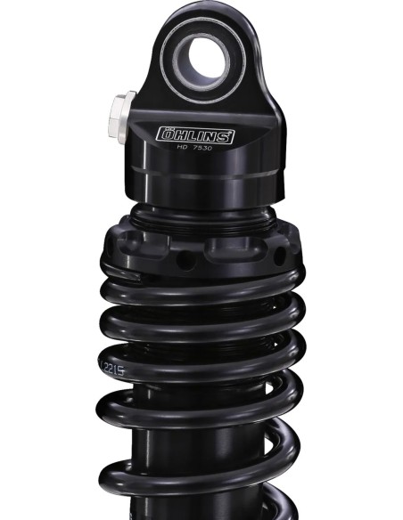 OHLINS Federung hinten - Detailansicht