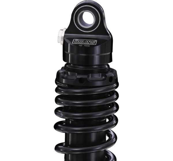 OHLINS Federung hinten - Detailansicht