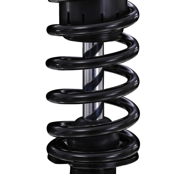 OHLINS Federung hinten Bild 4