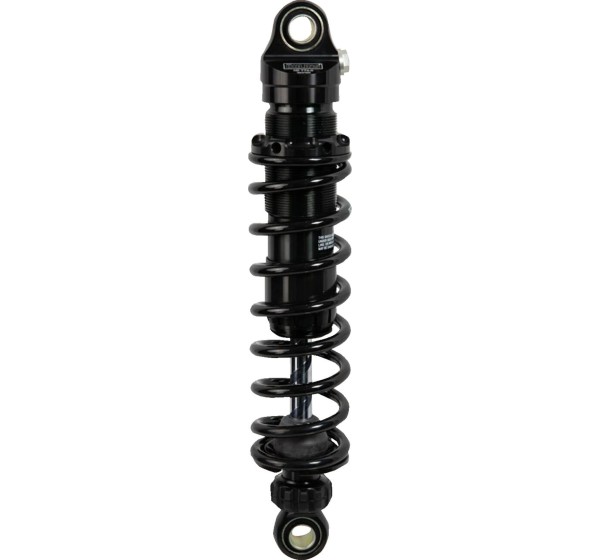 OHLINS Federung hinten Bild 5