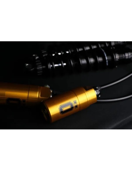 OHLINS Federung hinten - Detailansicht