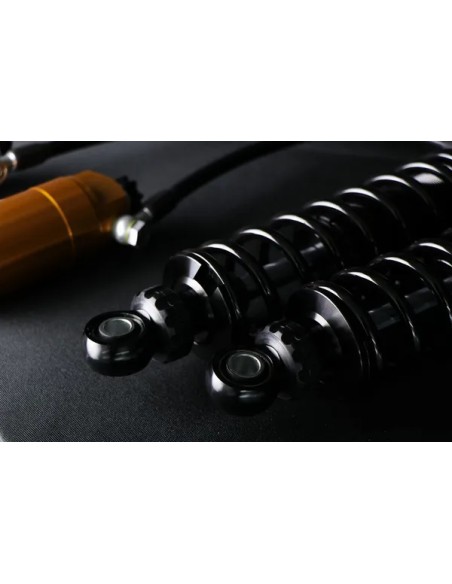 OHLINS Federung hinten - Einbaubeispiel