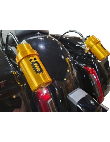 OHLINS Federung hinten Bild 5