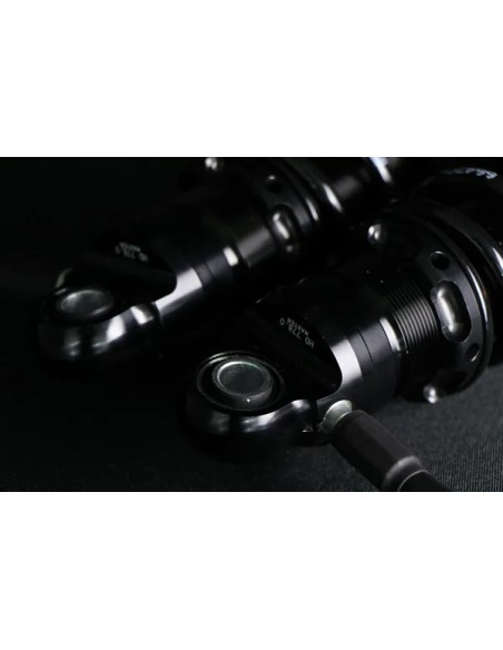 OHLINS Federung hinten Bild 6