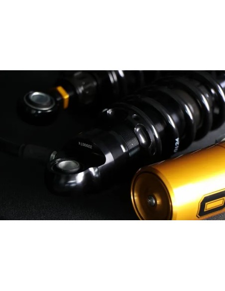 OHLINS Federung hinten - Detailansicht