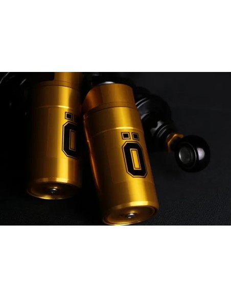 OHLINS Federung hinten Bild 6
