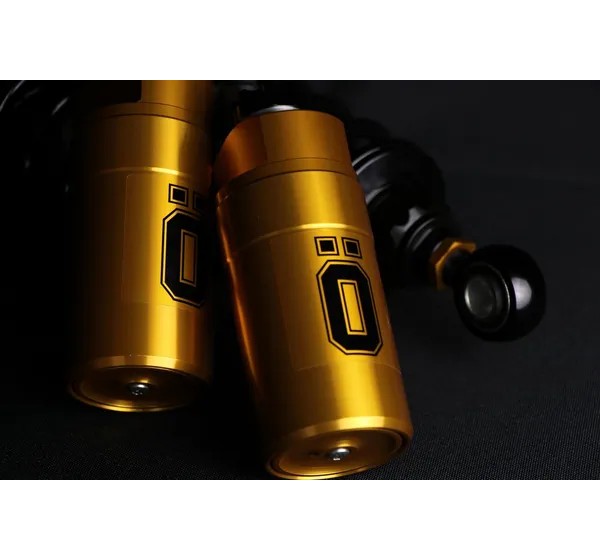 OHLINS Federung hinten Bild 6