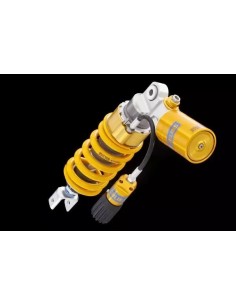 SHOCK STX46