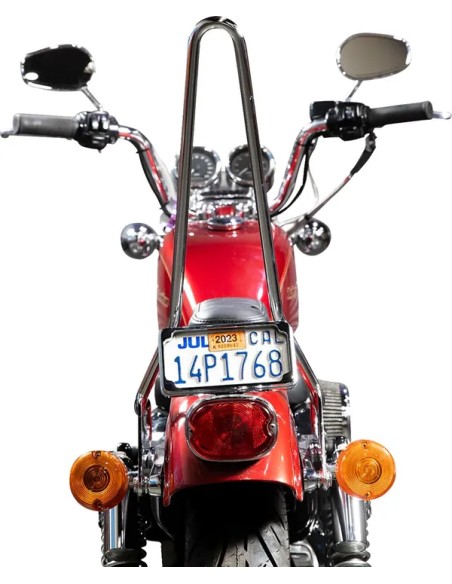 BILTWELL Sissybars Bild 7
