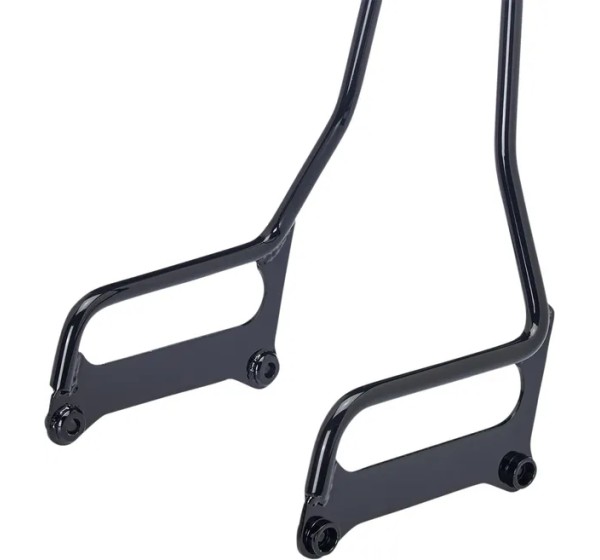 BILTWELL Sissybars - Einbaubeispiel