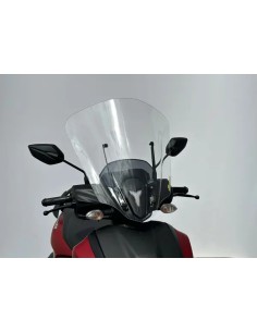 Windschild RAYZR