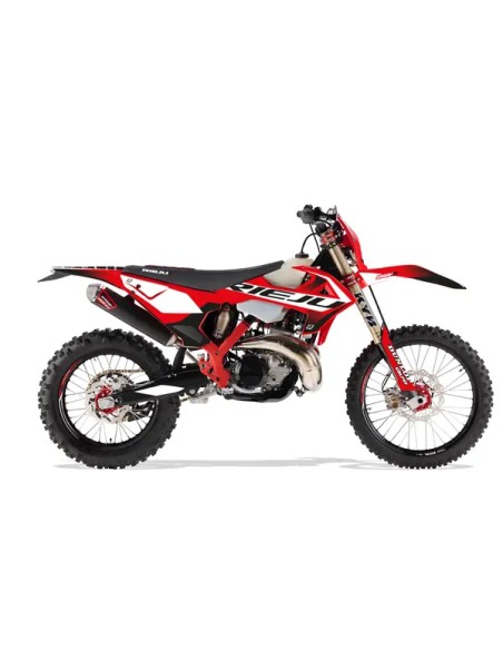BLACKBIRD RACING Dekorsätze & Aufkleber - GRAPHIC KIT DREAM 5 RIEJU MR30