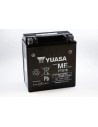 Wartungsfreie Batterie