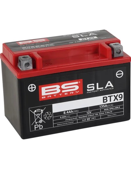 BS BATTERY Batterien für HONDA TRX 250 X 1987-2025