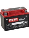 SLA Factory-Activated AGM Wartungsfreie Batterie