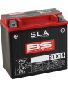 SLA Factory-Activated AGM Wartungsfreie Batterie
