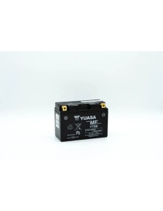 Wartungsfreie Batterie