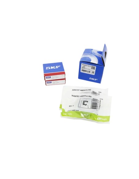 SKF Lager- und Dichtungssätze für BETA RR 250 2007-2024