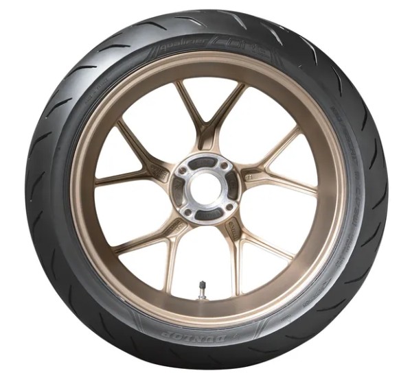 DUNLOP Reifen Bild 7